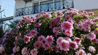 ایزدشهر-ویلا دوبلکس ساحلی