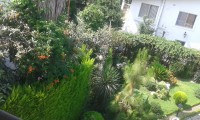 رویان-ویلای استخردار داخل شهرک ساحلی